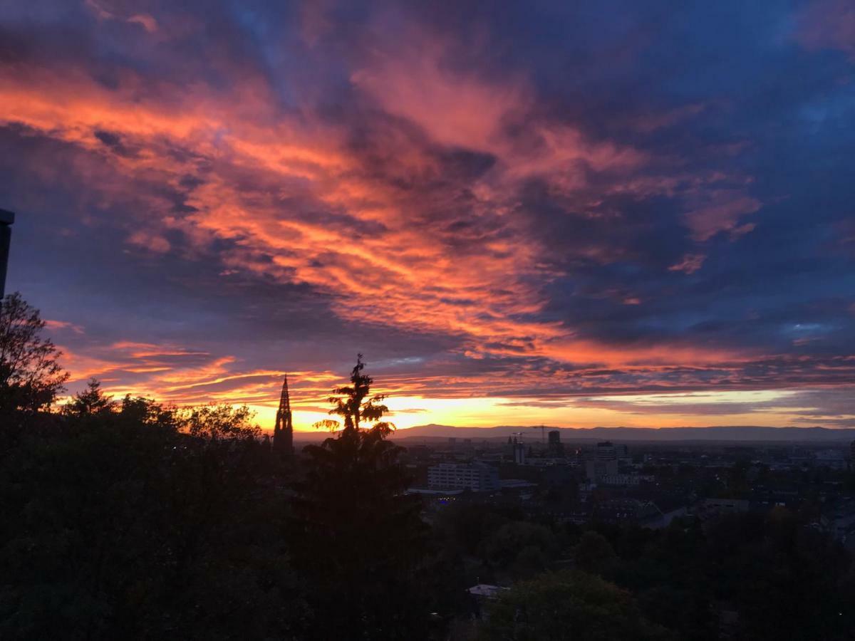 Ferienwohnung-Freiburg-Exklusiv ภายนอก รูปภาพ