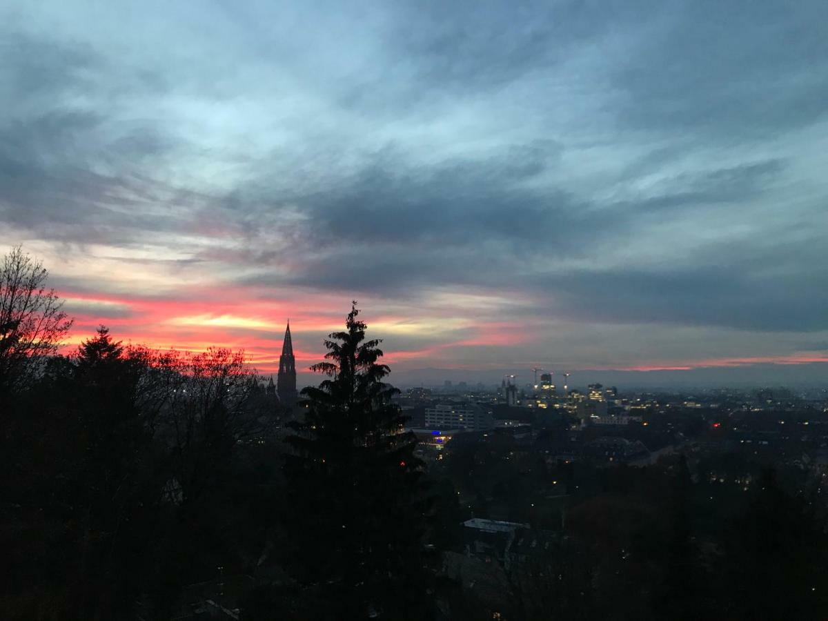 Ferienwohnung-Freiburg-Exklusiv ภายนอก รูปภาพ